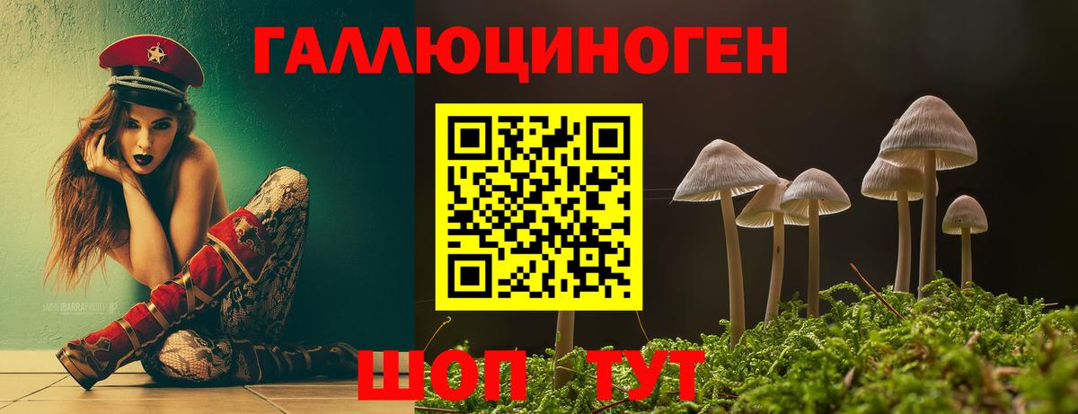 Псилоцибиновые грибы Cubensis Донской