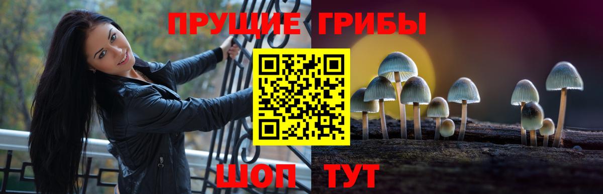 Галлюциногенные грибы мухоморы  Псилоцибиновые грибы Magic Shrooms  Донской  Вход с VPN 